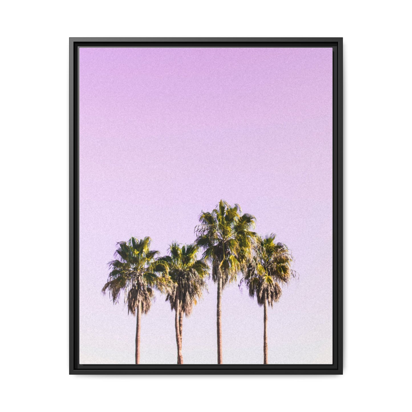 Palm Trees - Matte Canvas, Framed (Multi-color)