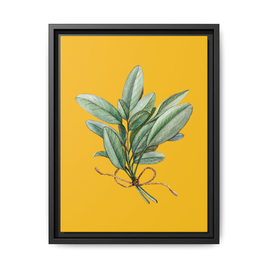 Sage - Herbs collection - yellow background - Matte Canvas, Framed (Multi-color)