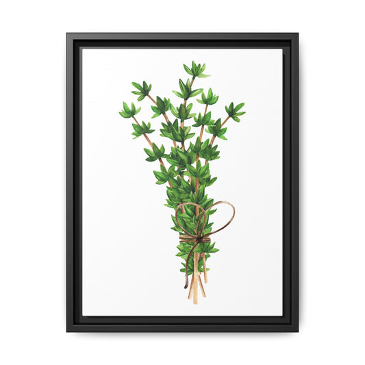 Thyme - Herbs collection - White background - Matte Canvas, Framed (Multi-color)